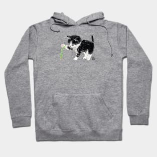 Catnip Hoodie